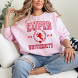 Cupid University Valentine's Day sweatshirt light pink