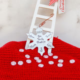 Snowflake Family Christmas ornament on red ribbon