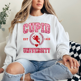 Cupid University Valentine's Day sweatshirt
