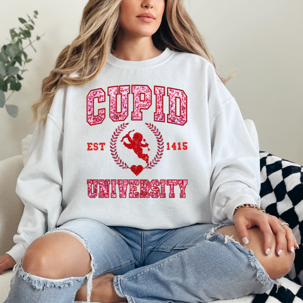 Cupid University Valentine's Day sweatshirt